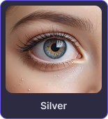 Vaib Home Feature Silver